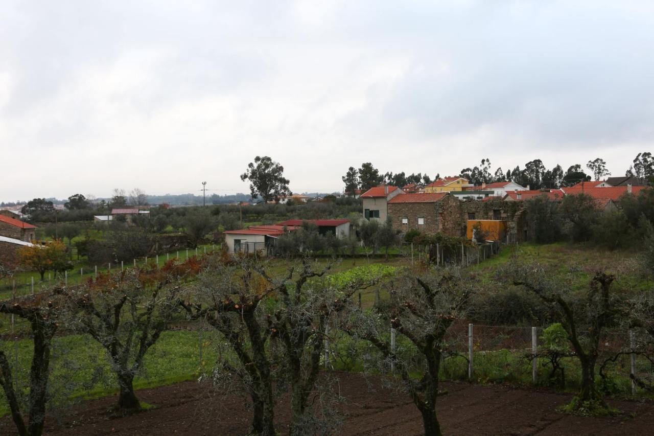Casa D'Avo Serra Da Estrela Seia Luaran gambar